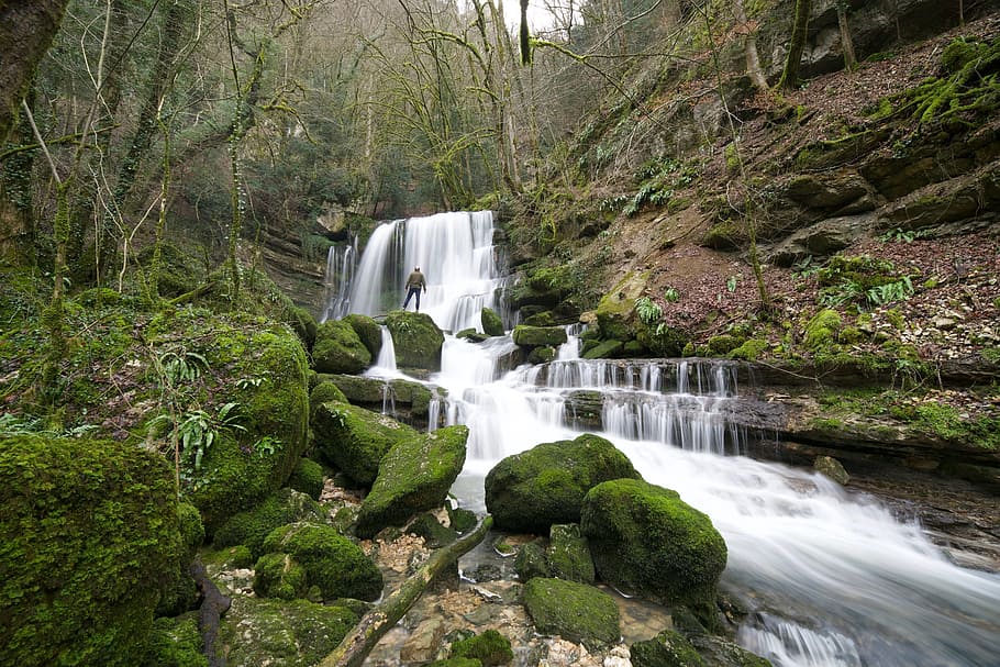 nature, cascade, flow, river, doubs, jura, verneau, tree, water HD wallpaper