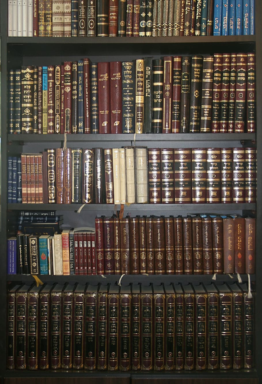 books, wardrobe, jewish books, shelves, bookcase, shelf, publication, HD wallpaper