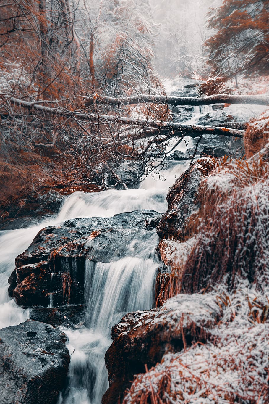 Brown Weathered Tree On River Creek, bergen, cascade, cold, forest HD wallpaper
