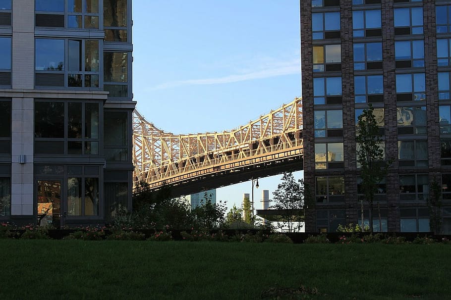 bridge, apartment, building, window, flower, tree, grass, built structure HD wallpaper