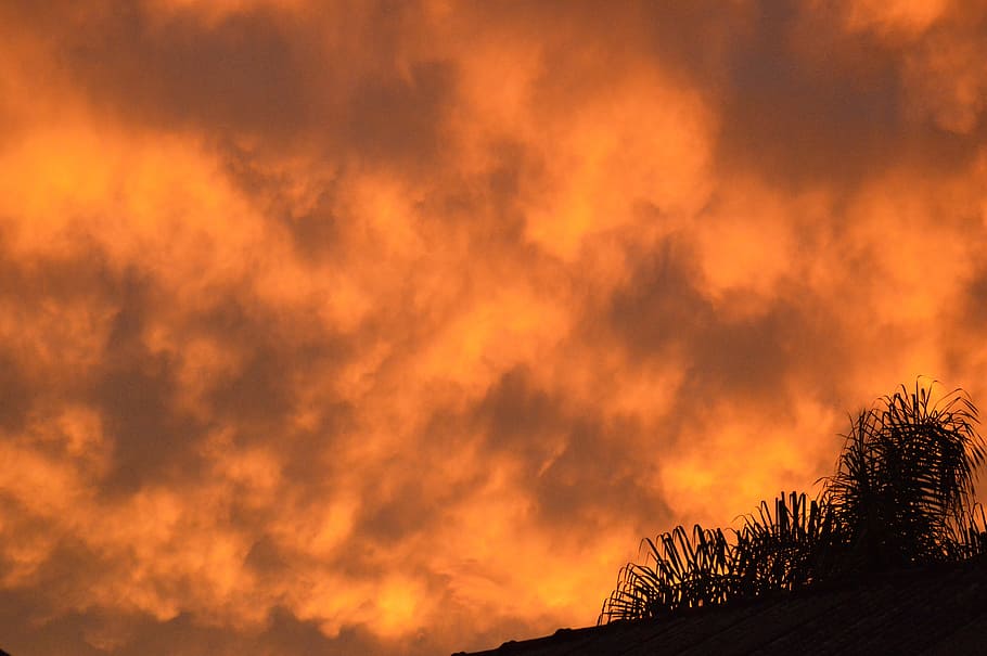 Orange, Trees, Landscape, sky, nature, sunset, cloud - Sky HD wallpaper