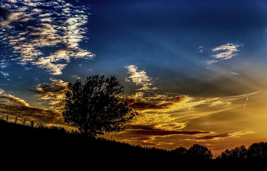 Silhouette, Sunset, Tree, Evening, sky, abendstimmung, mood HD wallpaper