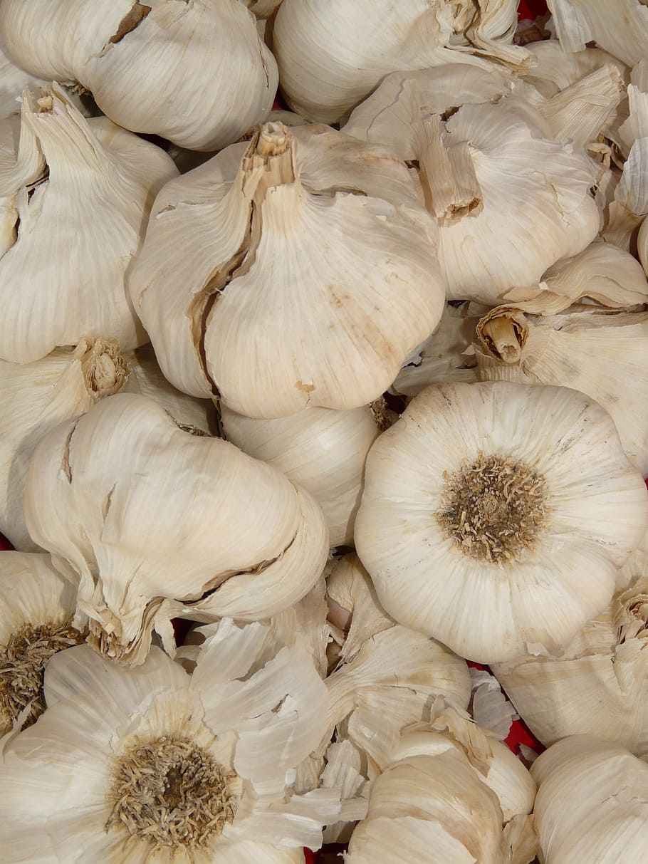garlic, sharp, aromatic, tuber, substantial, smell, medicinal plant HD wallpaper