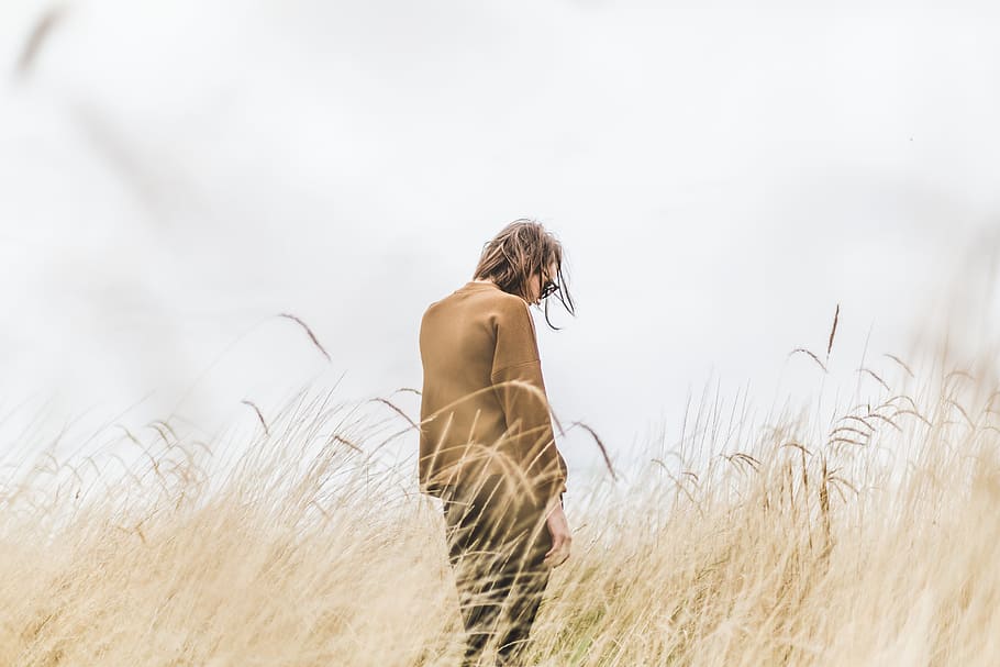 person wearing brown long-sleeved shirt standing on wheat fields HD wallpaper