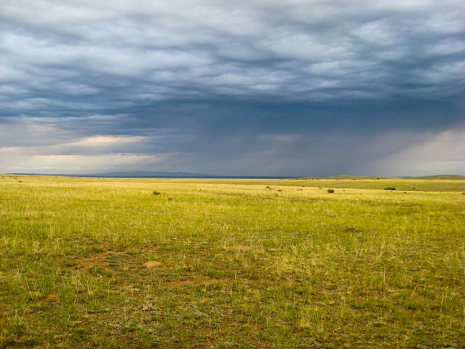 green grass field under blue cloudy sky at daytime, mongolia HD wallpaper