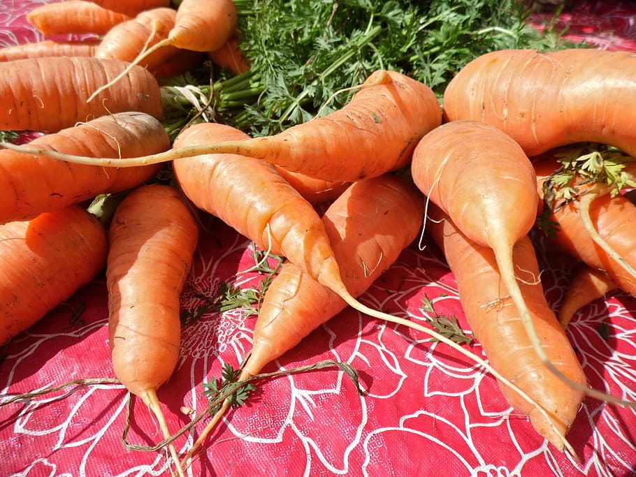 Carrots, Vegetable, Vegetables, Healthy, fresh, organic, vegetarian HD wallpaper