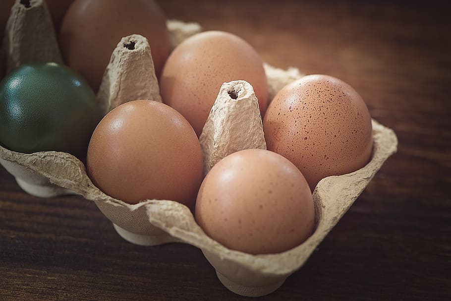 egg, chicken eggs, brown, colored, easter eggs, egg box, egg carton HD wallpaper