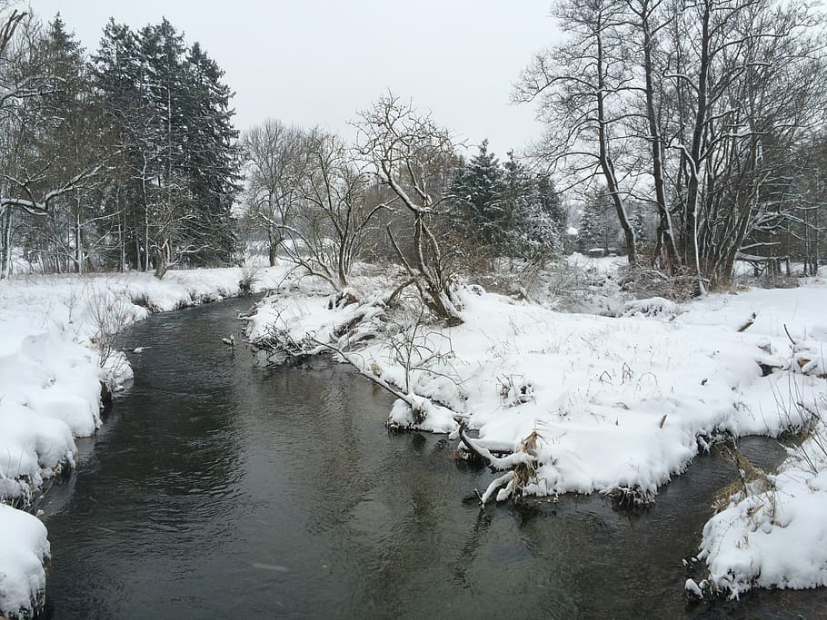 located, winter, snow, bach, creek, nature, ice, tree, cold - Temperature HD wallpaper