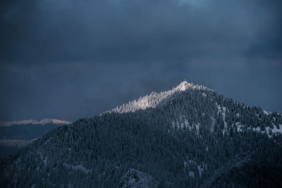 Dark Bavarian Mountains, landascape photography of mountains with trees HD wallpaper