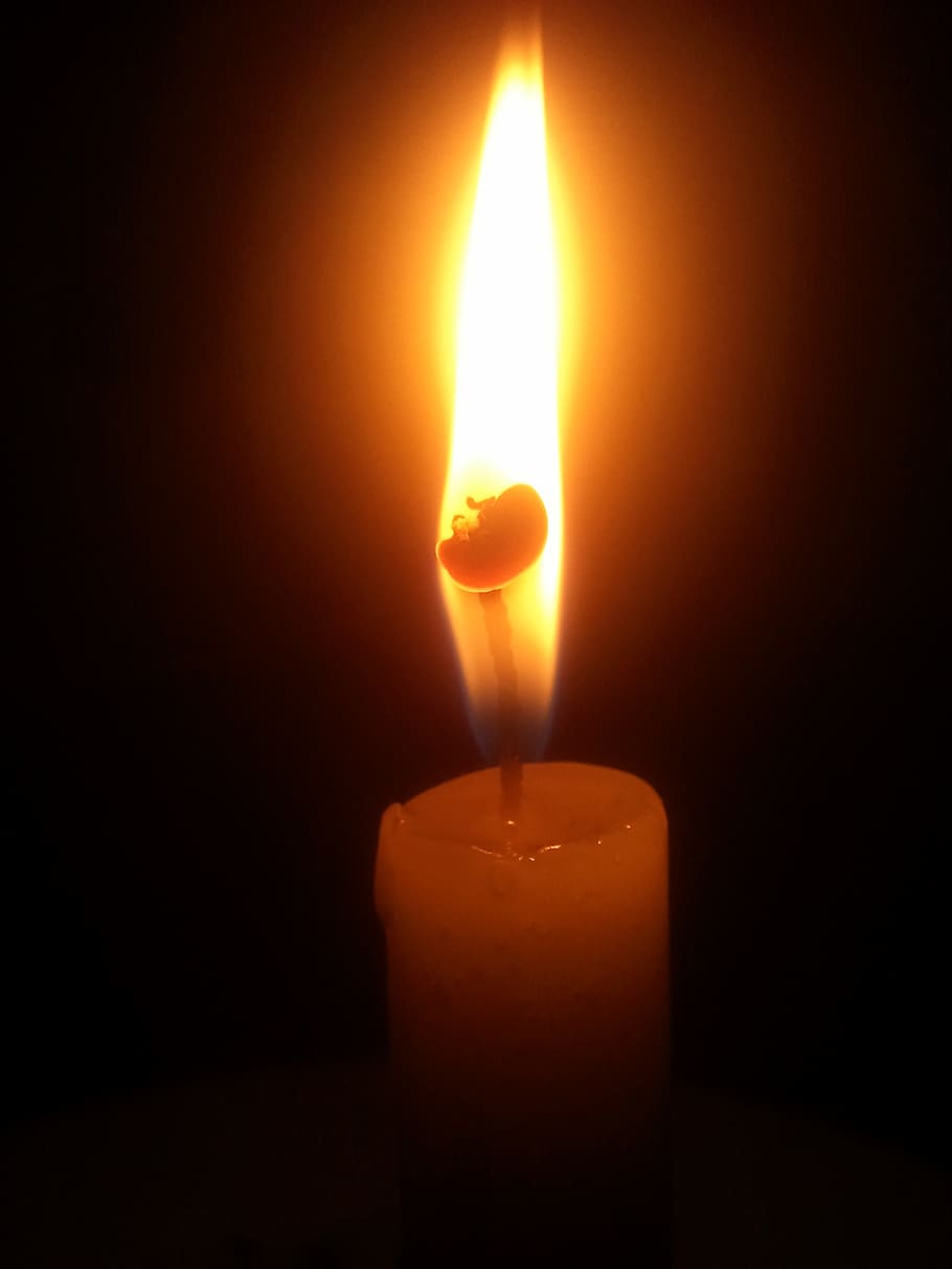 light, candel, pray, fire, burning, flame, heat - temperature, HD wallpaper