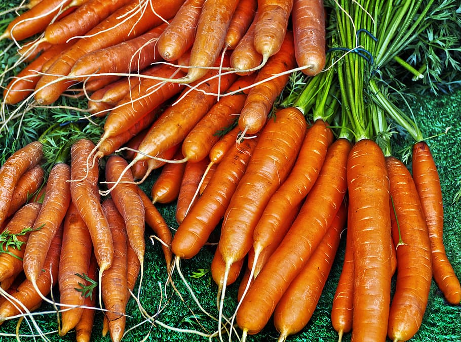 carrot, yellow beet, carrots, mario, daucus carota, vegetable plant