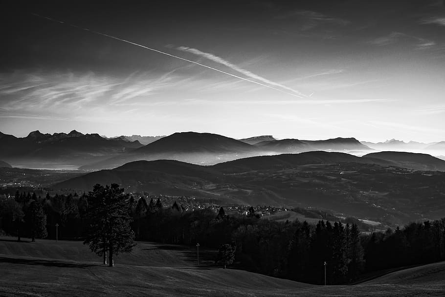 black and white, grayscale, view, field, trees, plants, nature HD wallpaper