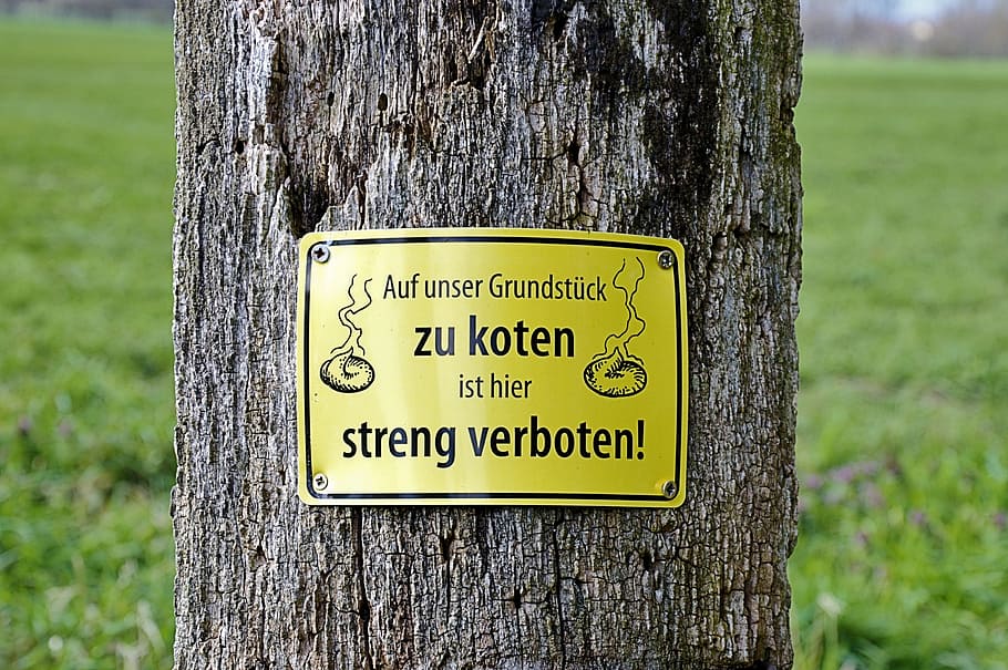 Tree, Shield, Dog, funny, gassi, prohibitory, warning, ban HD wallpaper