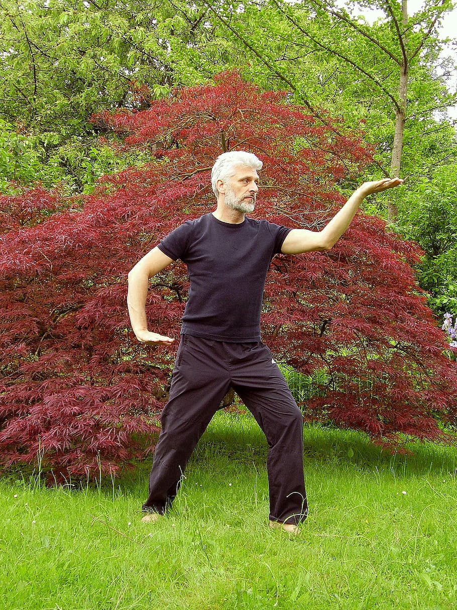 man performing yoga on grass beside red leaf plant at daytime