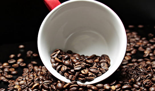 white and red ceramic mug surrounded by coffee beans, coffee cup HD wallpaper