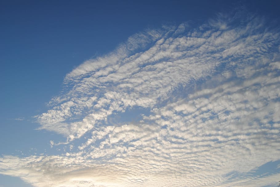 Sky, Clouds, cloudy, blue, cloudy sky, white cloud, nature HD wallpaper