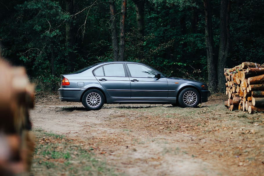 Car trip through fields and forests, grain, wheat, bmw, meadow HD wallpaper