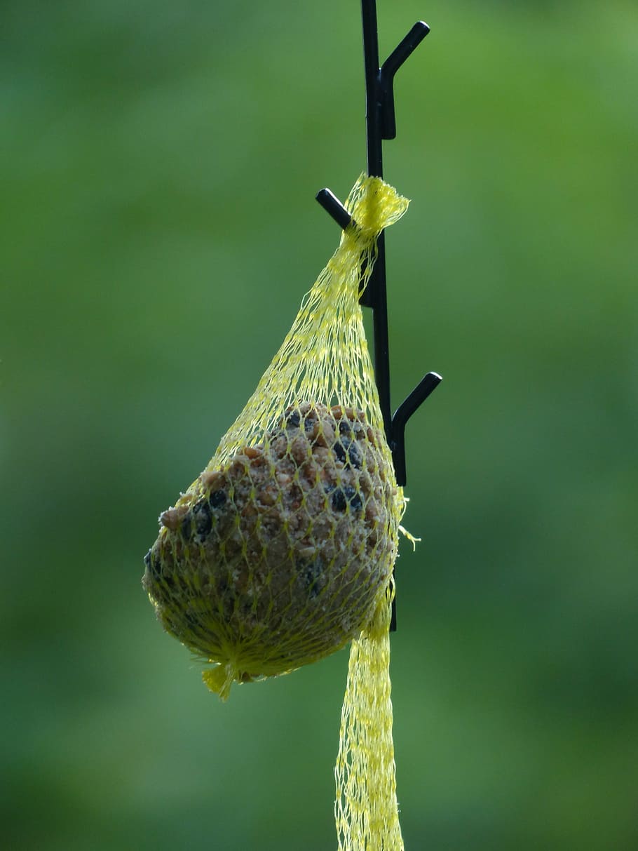 half empty, fat balls, bird seed, feed, food, winter, feed network HD wallpaper