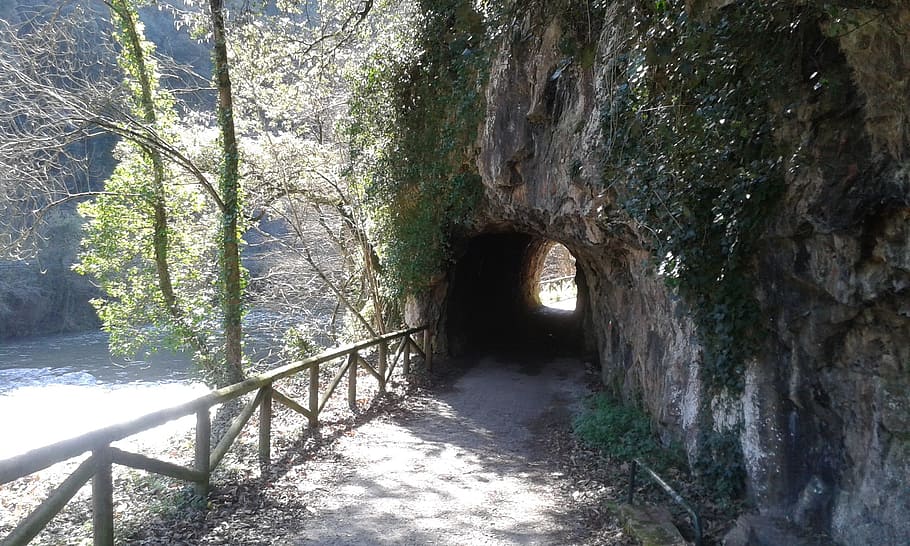 Trail, Path, Tunnel, Nature, Vegetation, rural, landscape, mountain HD wallpaper