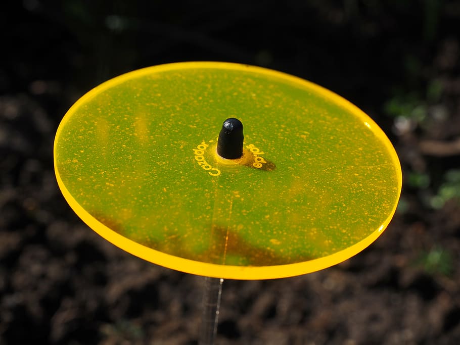light catcher, yellow, gartendeko, neon yellow, fluorescent HD wallpaper