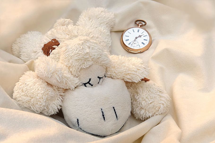 sheep plush toy lying down beside brass pocket watch, still life HD wallpaper