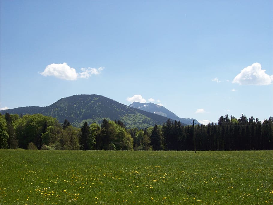 Sky, Blue, Blue, Mountains, Meadow, Landscape, nature, green Color HD wallpaper