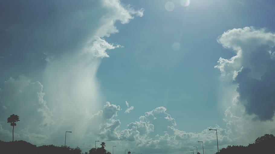 trees, nature, plants, blue, sky, clouds, sunny, cloud - sky HD wallpaper