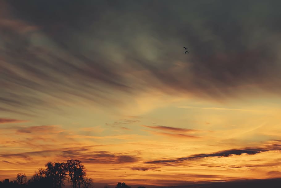 birds flying under orange sky, sunset, yellow, long, exposure HD wallpaper