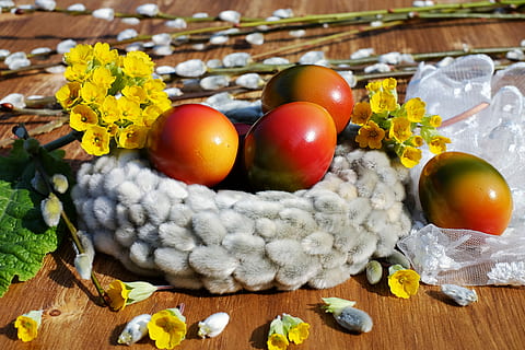 close up photography of red eggs decors, easter eggs, bio, colored HD wallpaper