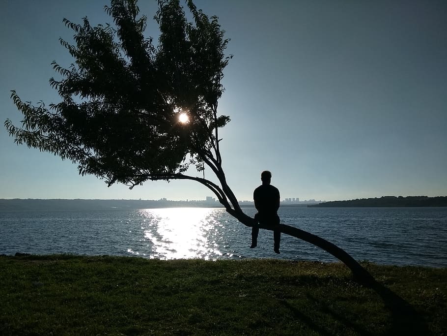 Sunset, Tree, Dark, only, sea, silhouette, beach, one man only HD wallpaper