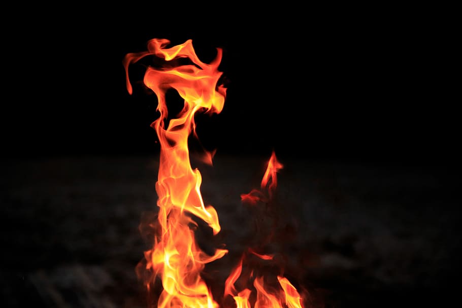 tilt-shift photography of flame, shallow focus photography of fire HD wallpaper