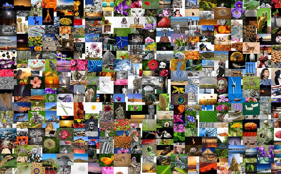 collage of random photos, images, photo collection, photo album