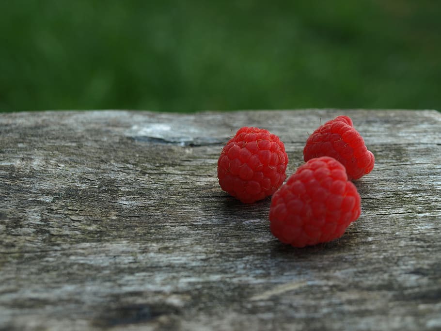 raspberry, macro, red, food, food and drink, healthy eating HD wallpaper