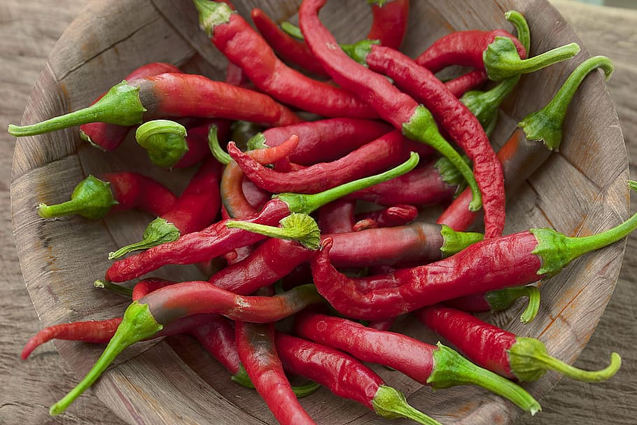 red chili lot on round brown bowl, chillis, chillies, gardening, HD wallpaper