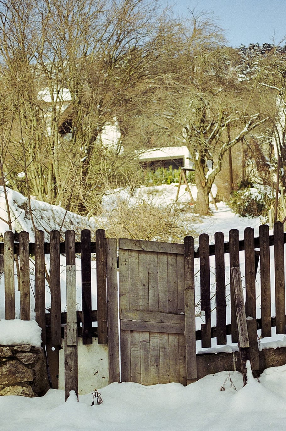 snow, winter, wood, cold, tree, frost, frozen, outdoors, nature HD wallpaper