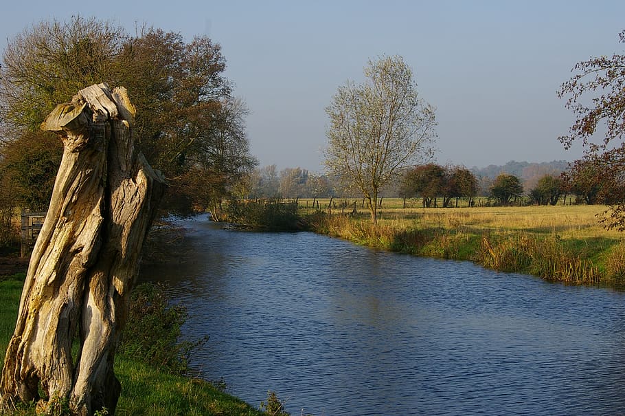 river, outdoors, nature, tree, stream, environment, natural HD wallpaper