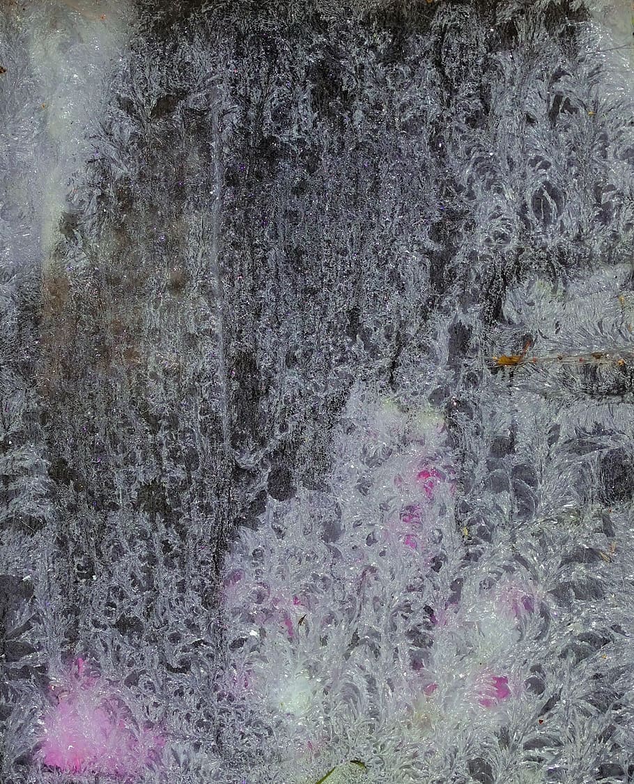 window, glass, iced, winter, hardest, old window, frozen, pattern HD wallpaper