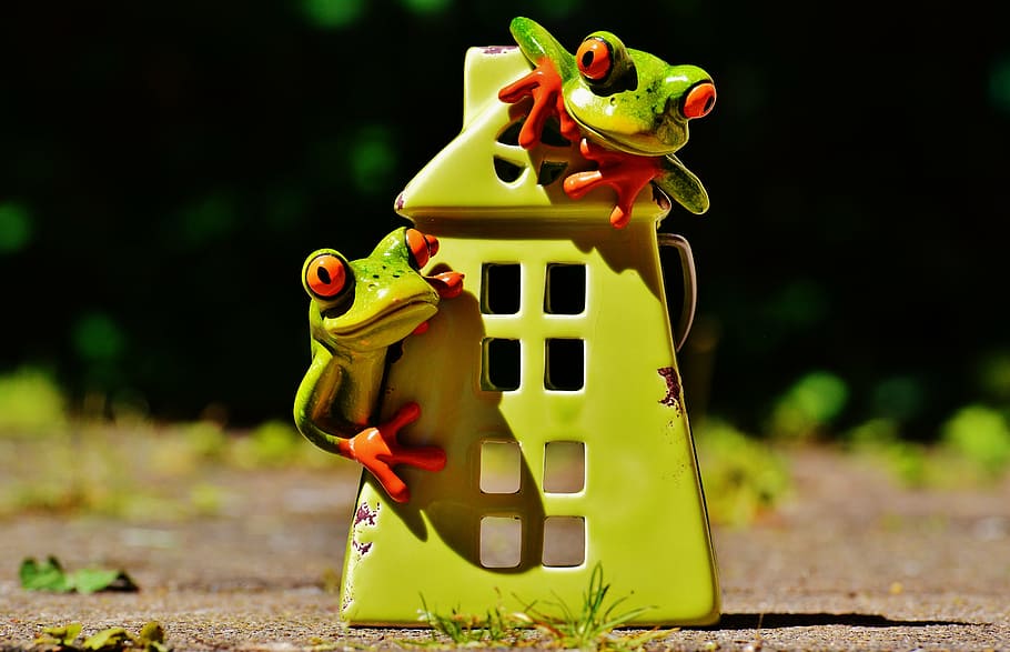 frogs, home, funny, cute, sweet, decoration, figure, at home HD wallpaper