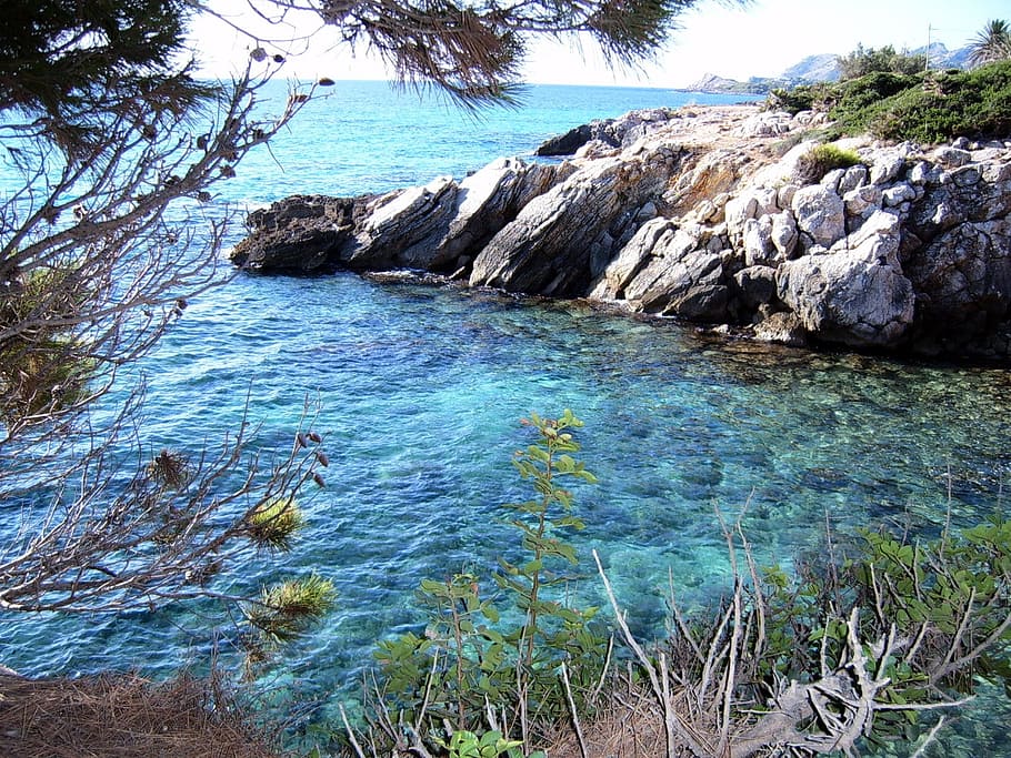 water, rock, beach, beauty in nature, sea, plant, solid, tranquility HD wallpaper