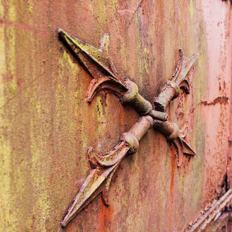 rusty, door, old, iron, ornament, lilies, vintage, grunge, retro HD wallpaper