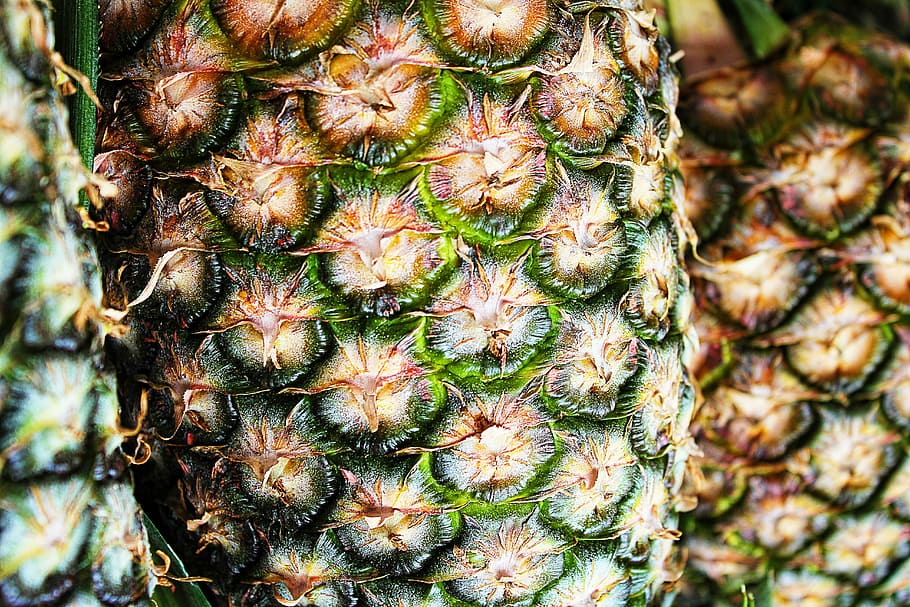 pineapple in macro shot photography, texture, pattern, fruit HD wallpaper