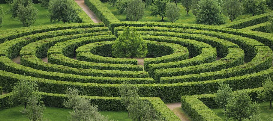 green maze hedge, park, green color, plant, growth, pattern, beauty in nature