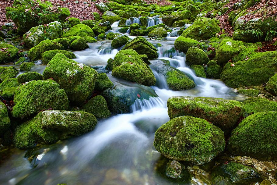 green and brown body of water, source, torrent, rock, nature HD wallpaper