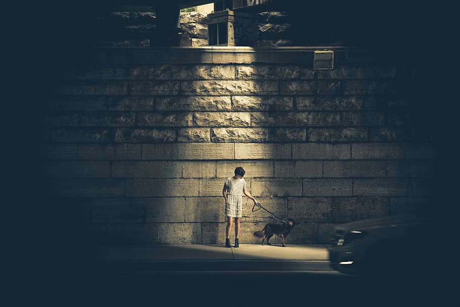 person holding dog collar beside wall, person holding leash of dog beside concrete wall