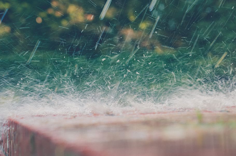 water, rain, close-up, splash, plant, no people, selective focus HD wallpaper