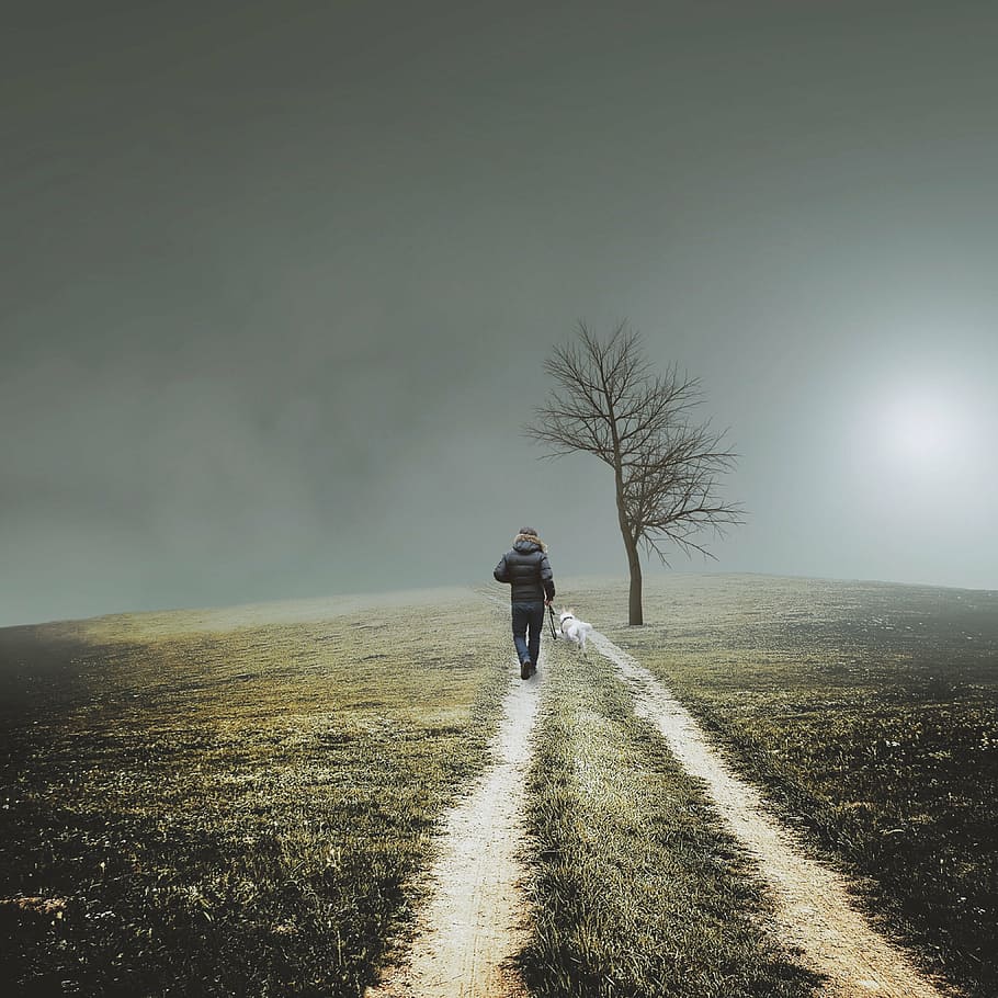 person walking on desired pathway under gray clouds, trail HD wallpaper