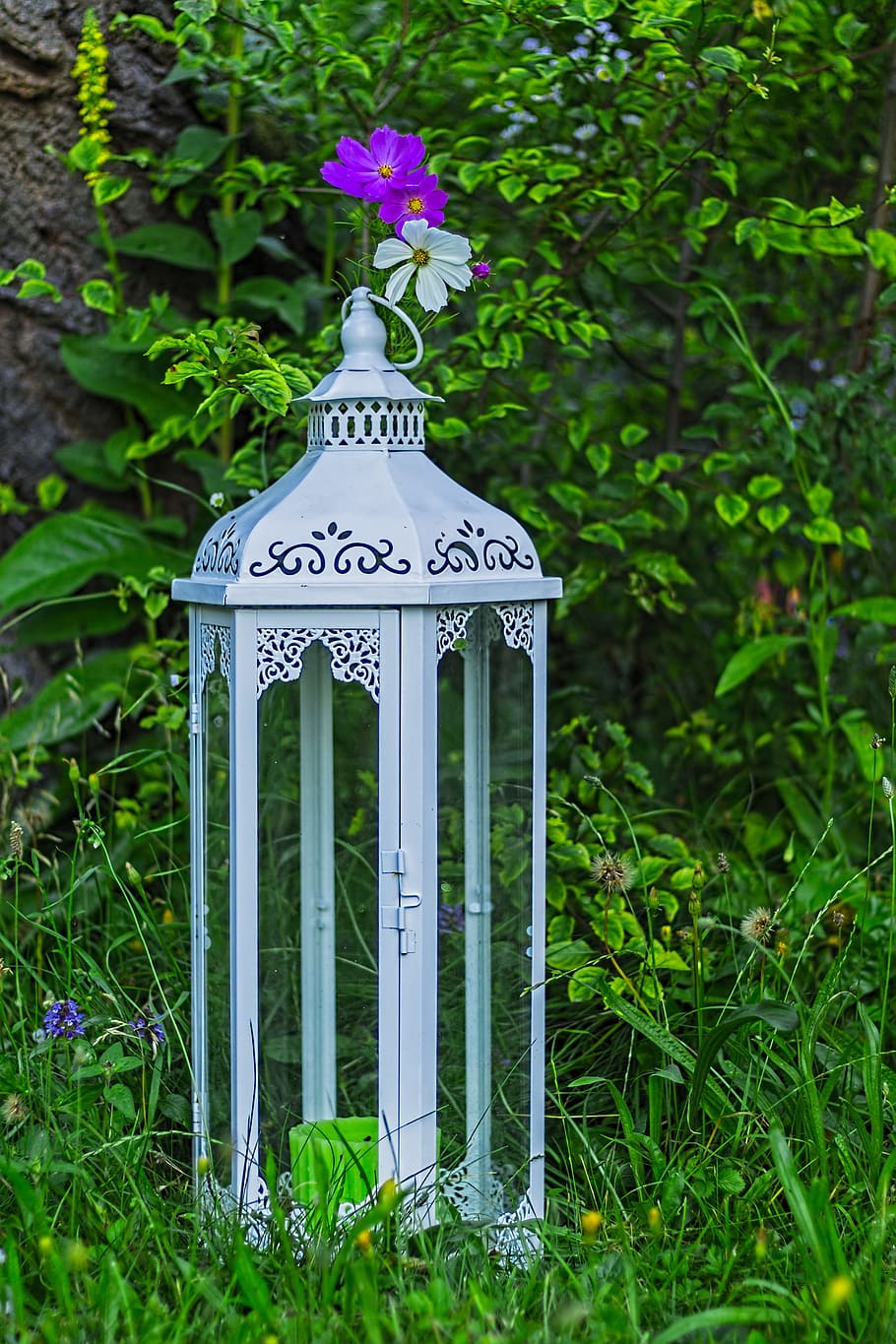 gray candle lantern on green grass, cosmea bipinnata, deco HD wallpaper