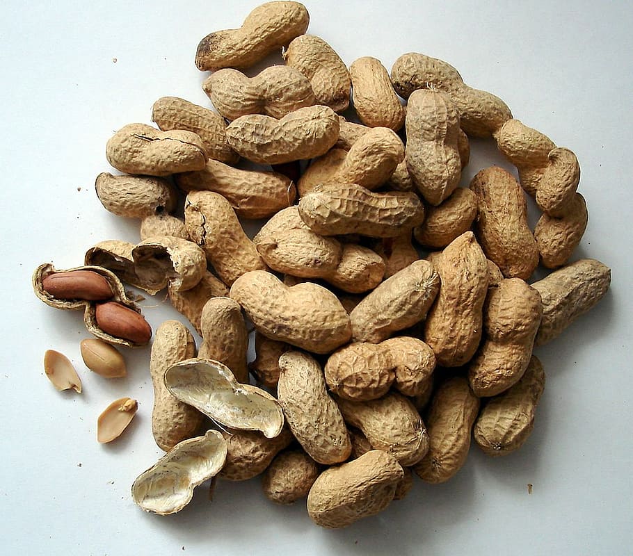 peanuts with shell, cores, snack, food and drink, large group of objects HD wallpaper