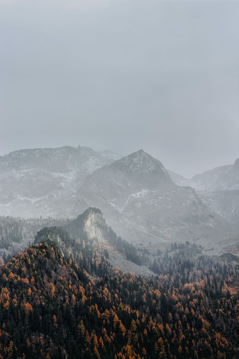 mountain range under sky, gray mountain during fog, mist, tree HD wallpaper