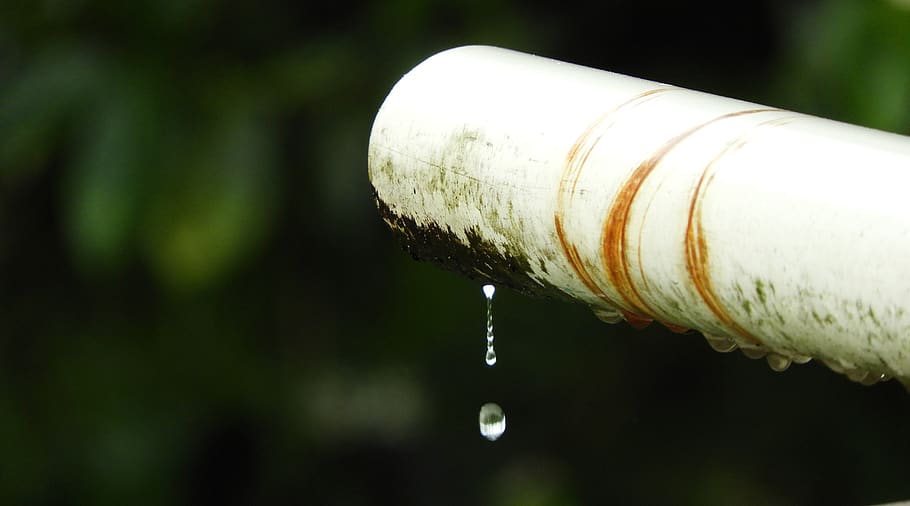 outdoors, leak, rain, drop, water, focus on foreground, close-up HD wallpaper